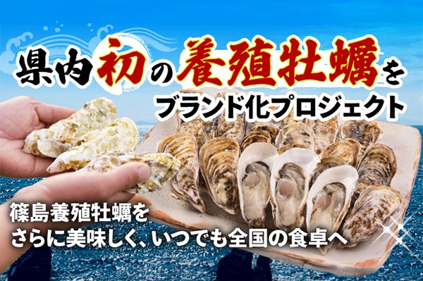 篠島（しのじま）発、エグみのない旨味たっぷりの「朋輩牡蠣」で島を再生！県内初の養殖牡蠣をブランド化プロジェクト