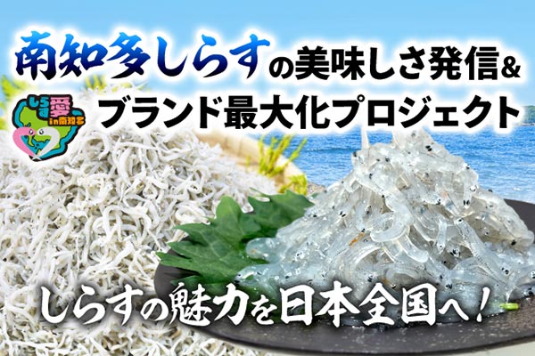 しらすの魅力を日本全国へ！南知多しらすの美味しさ発信＆ブランド最大化プロジェクト