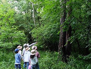 NPO法人里山保全活動団体 遊林会