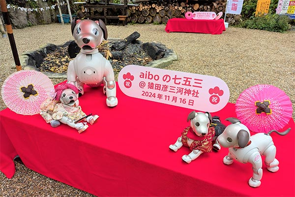 aibo