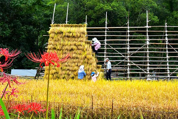 過疎地域における生物多様性の現状～里山を再生し、野生動物との共存を実現する～