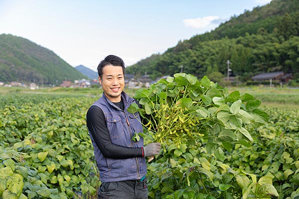 旬を体験、京丹波町黒枝豆の魅力を多くの方に。黒枝豆アグリツーリズムプロジェクト！