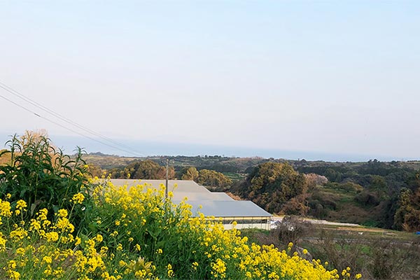 地元養鶏場の「たまご」で作る新商品「マヨネーズ」開発プロジェクト！！