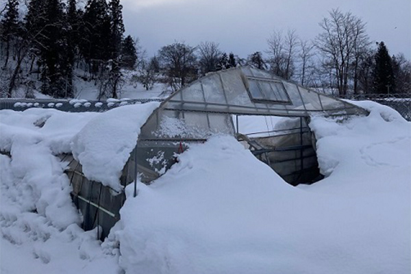 【青森県黒石市】令和7年1月豪雪　災害支援