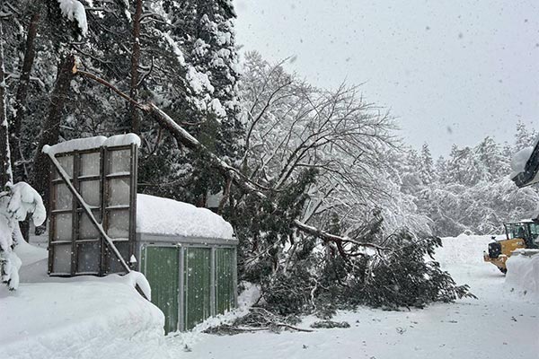 [青森県鶴田町]令和7年1月豪雪 災害支援