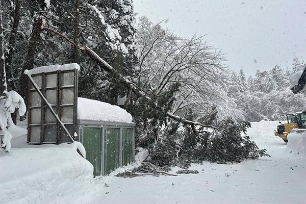 【青森県鶴田町】令和7年1月豪雪　災害支援