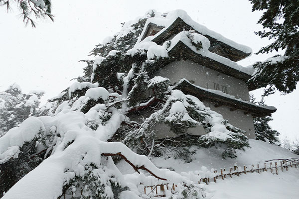 【青森県弘前市】令和7年1月豪雪　災害支援