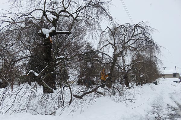 【福島県喜多方市】令和7年1月豪雪　災害支援