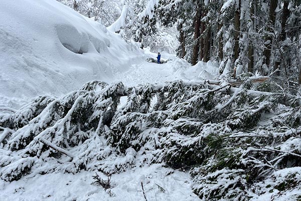 【福島県喜多方市】令和7年1月豪雪　災害支援