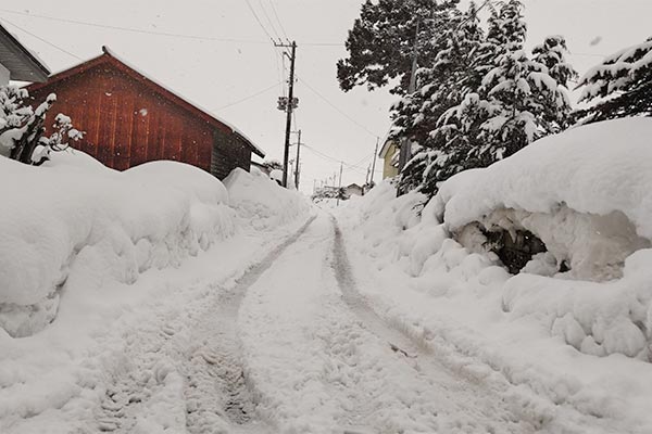 【青森県藤崎町】令和7年1月豪雪　災害支援