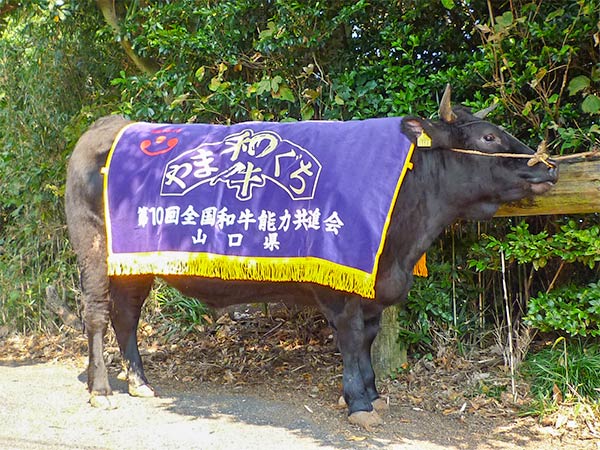 長州ながと和牛