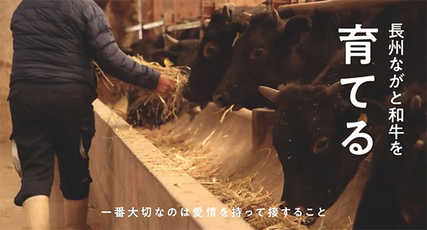 長州ながと和牛