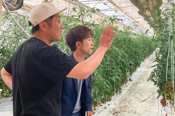 ハウス見学