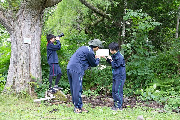 校舎敷地内にある「ミニ湿原」での環境学習