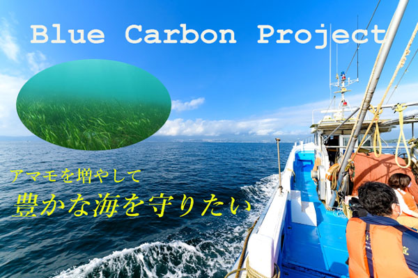 【海の美しさと豊かさを守りたい】～未来の子どもたちへ～ブルーカーボン＆稚魚放流プロジェクト