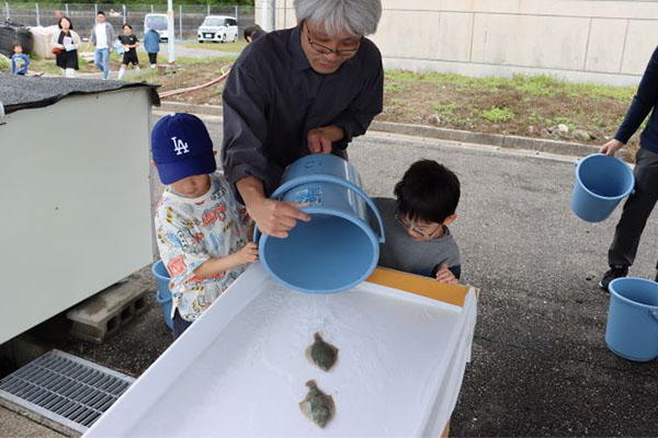 稚魚放流