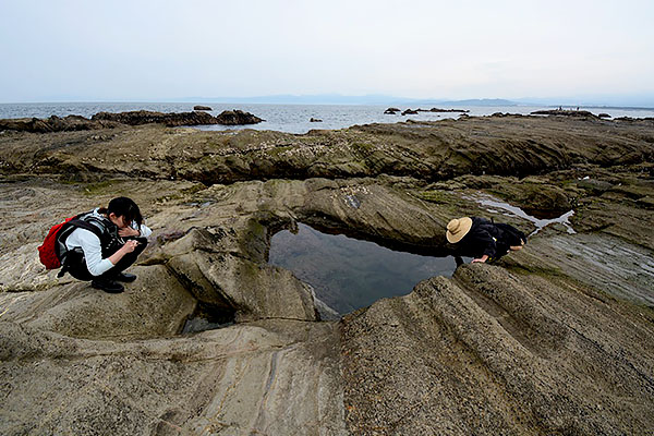 【受付期間終了】プロジェクトへのご支援ありがとうございました。
