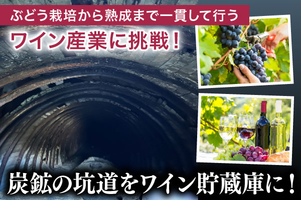 ぶどう栽培から熟成まで一貫して行うワイン産業に挑戦！