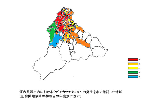特定外来生物クビアカツヤカミキリ