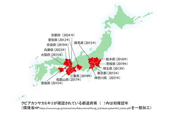 特定外来生物クビアカツヤカミキリ