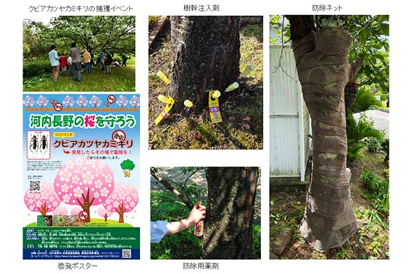 河内長野市の取り組み