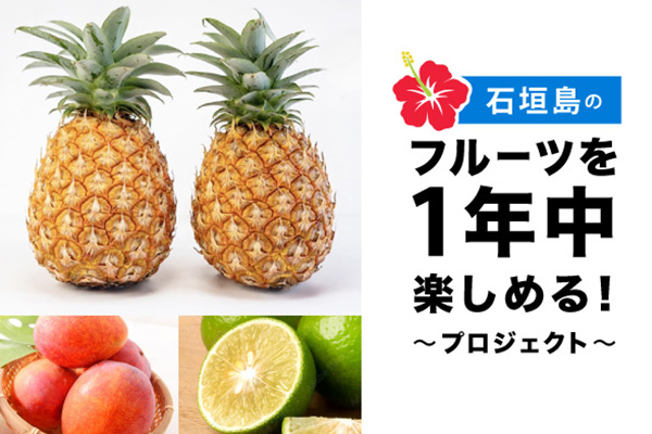 石垣島の農家が本気で作った果物を全国に届けたい！！～『パイナップル』や『マンゴー』を一年中楽しめるようにお届けします！～