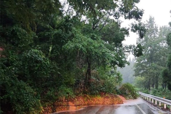 【熊本県益城町】令和7年8月豪雨　災害支援