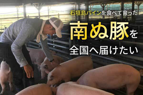 生産性向上で実現！石垣島パインを食した南ぬ豚のソーセージを全国展開