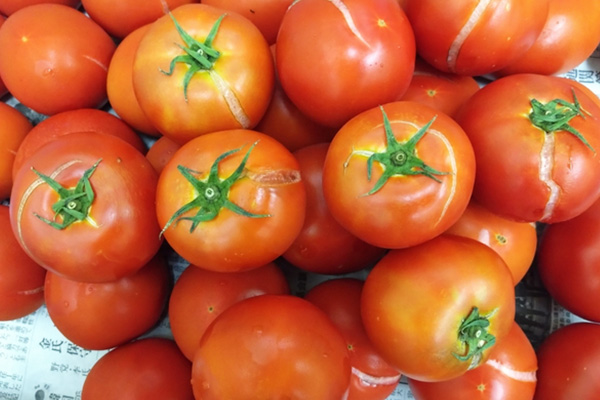 規格外野菜