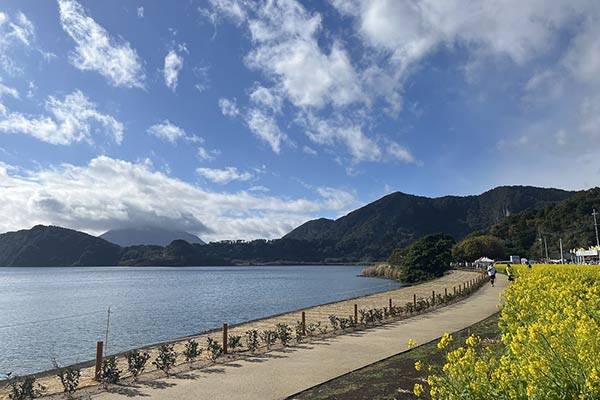 園路（池田湖方面）