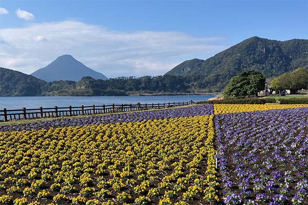 開聞岳と池田湖