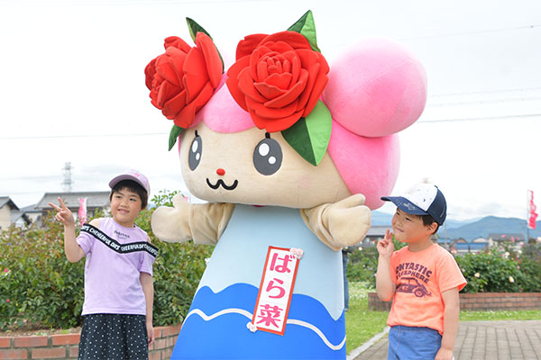 お友達と触れ合うばら菜