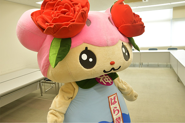 前を向いて進んでいこうとするばら菜