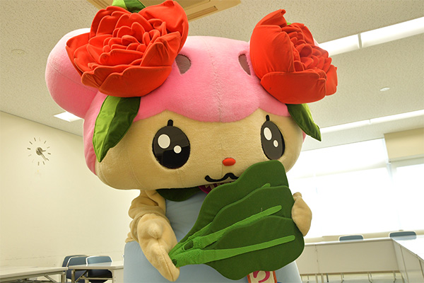 小松菜も傷んでます…