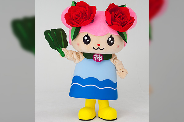 着ぐるみになったときのばら菜 お顔は丸く、小松菜も、服もピカピカです