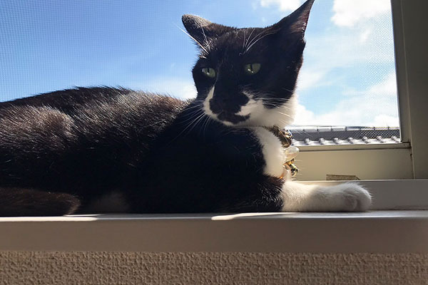 動物との共存をめざす　山形県遊佐町