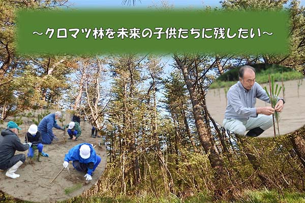 クロマツ林を未来の子供たちに残したい