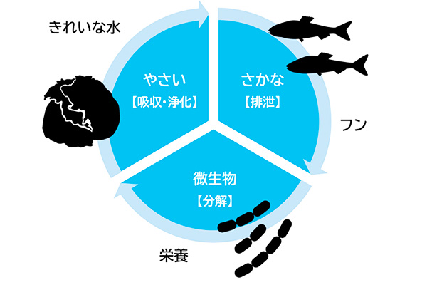 アクアポニックスの概要図