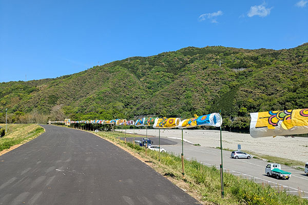 空中こいのぼり