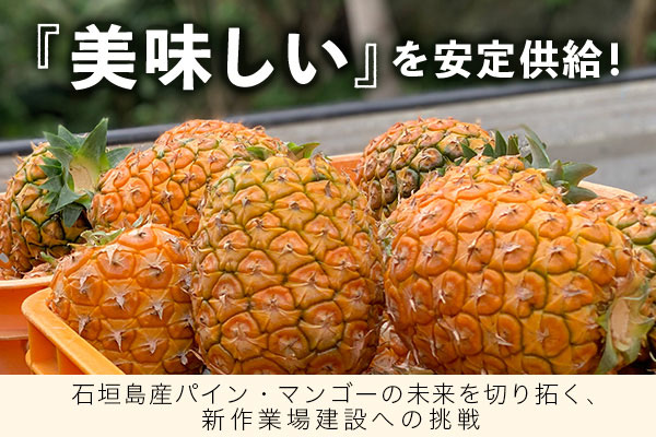 石垣島産パイナップル・マンゴーの品質向上と販路拡大のための作業場新設と商品開発・PR強化プロジェクト石垣島の自然の恵みを全国へ。