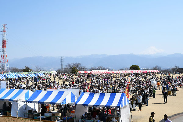 甲斐市サクラまつり：多くの人で賑わう会場の様子