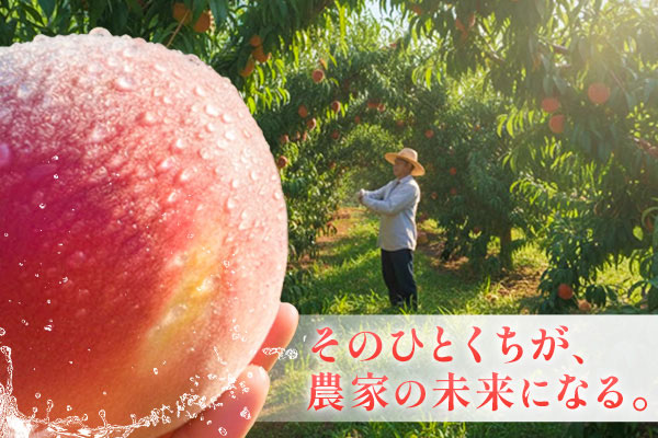10年後には桃が無くなる..！？今ならまだ間に合います！消えゆく桃畑に、皆さまからのご支援を