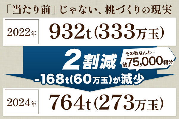 課題：「当たり前」じゃない、桃づくりの現実