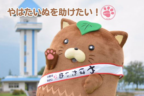 甲斐市マスコットキャラクター「やはたいぬ」を助けたい！