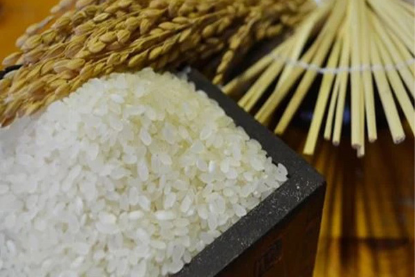 鹿島産のおいしい幸猫米 10kg