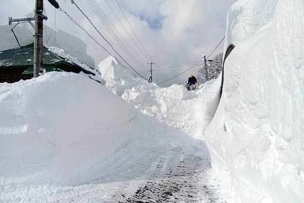 【新潟県上越市】令和8年1月豪雪　災害支援